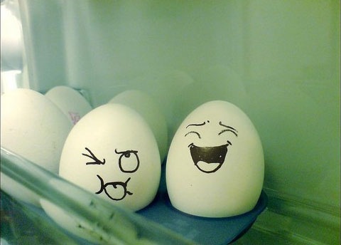 egg04