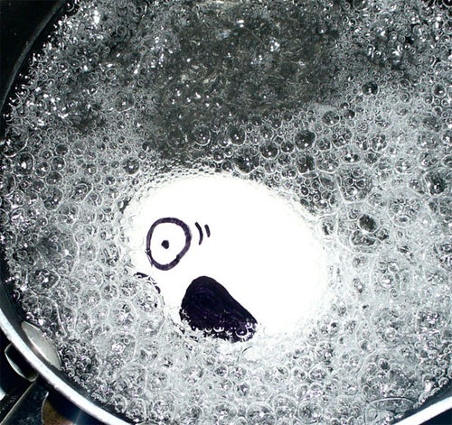 egg10