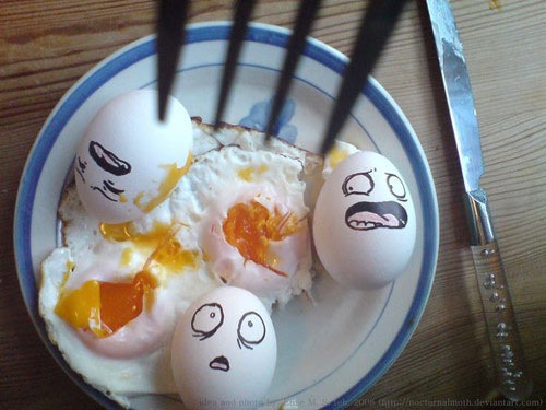 egg16