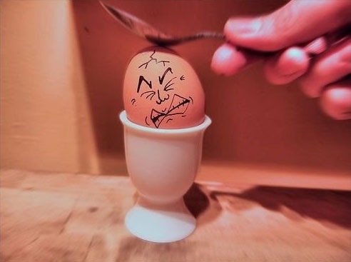 egg18